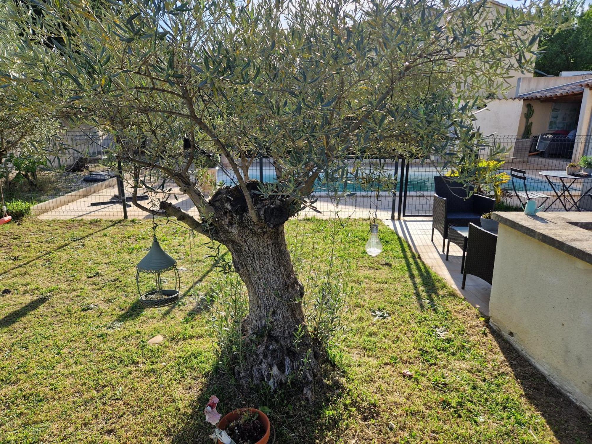 Le Cabanon De Lea Apartman Tavel Kültér fotó